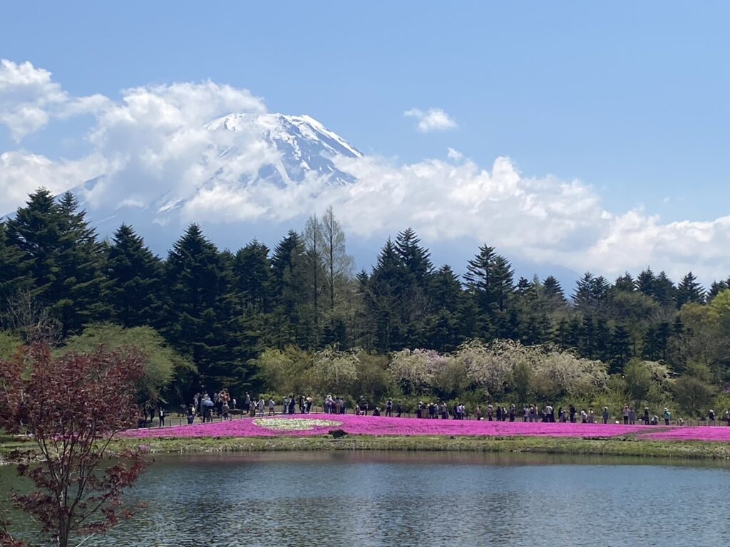 富士山と池と芝桜