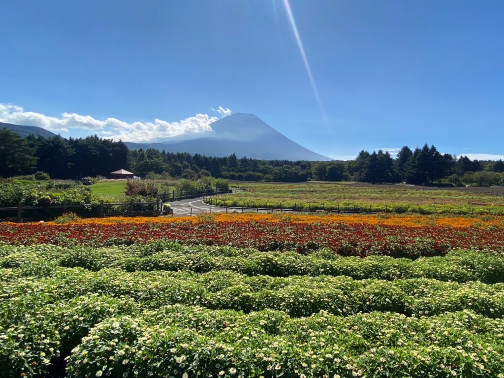 虹の花まつり風景