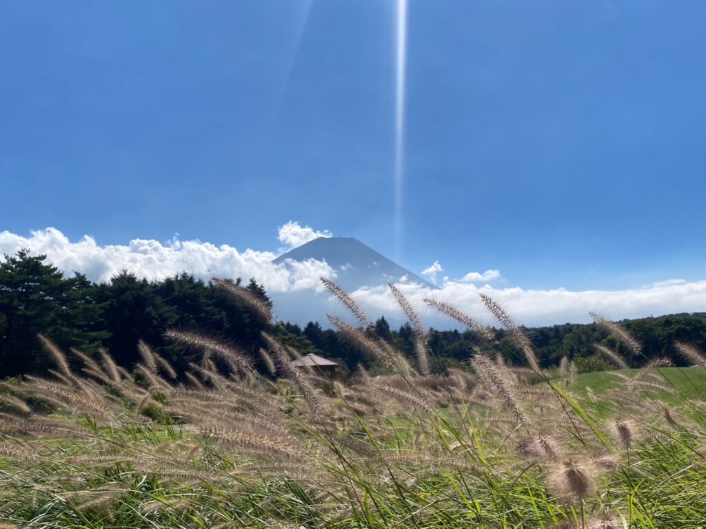 イングリッシュガーデンと富士山