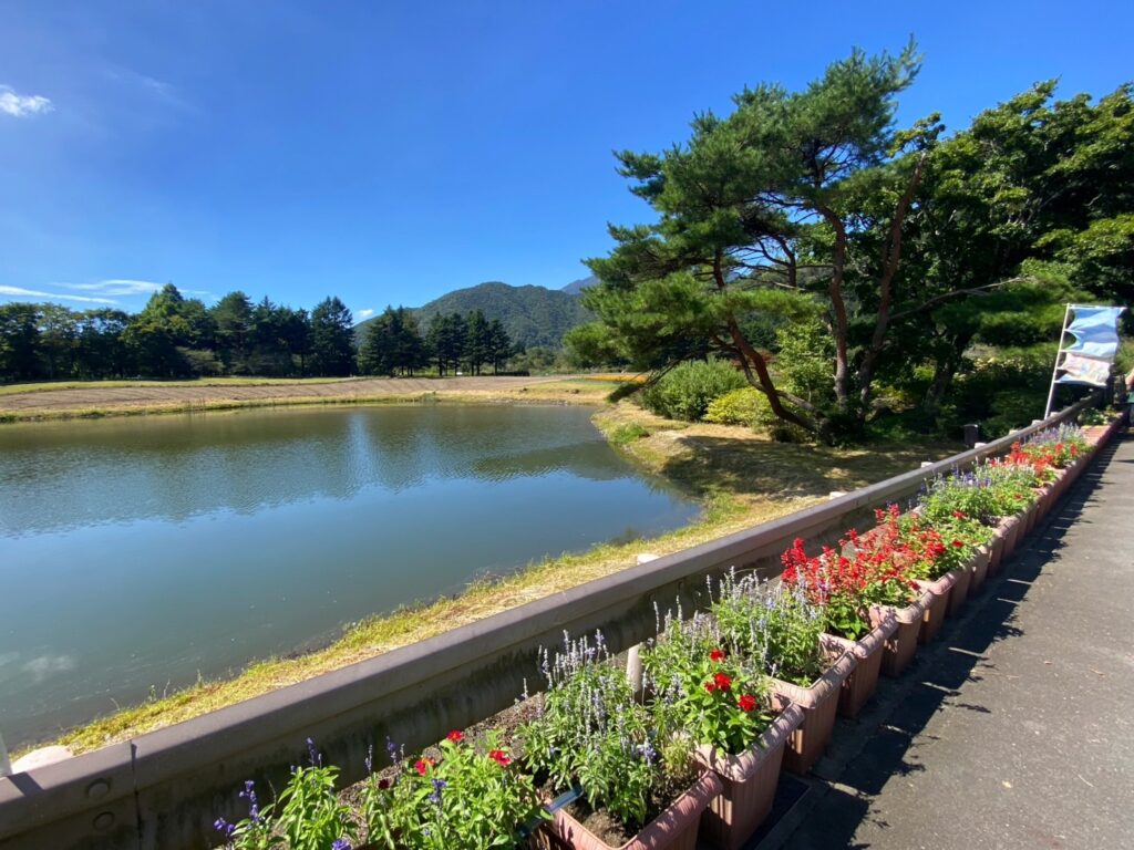 虹の花まつり会場入口付近