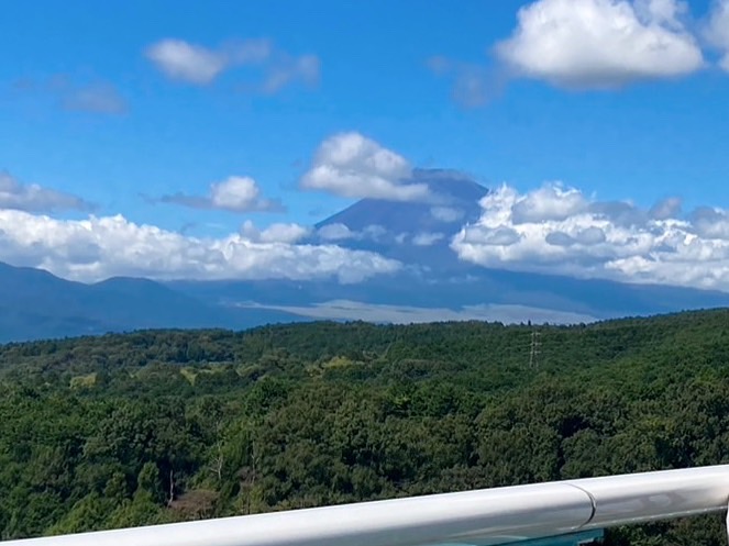 吊り橋から見た富士山