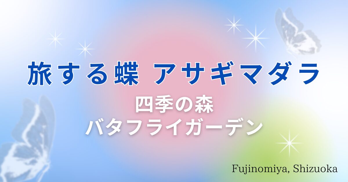 神秘の渡り蝶アサギマダラ