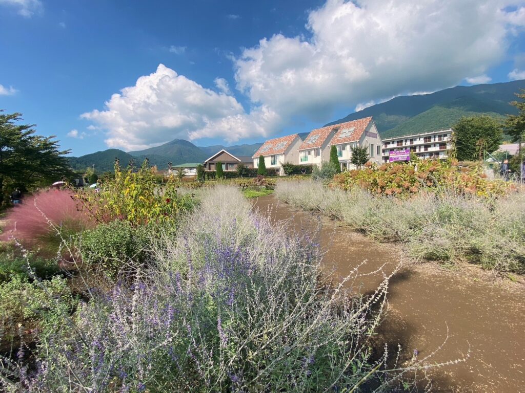 花街道の風景