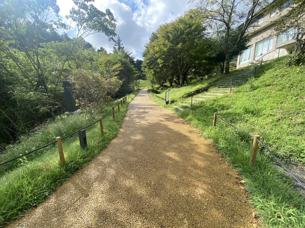 テラスへ続く遊歩道