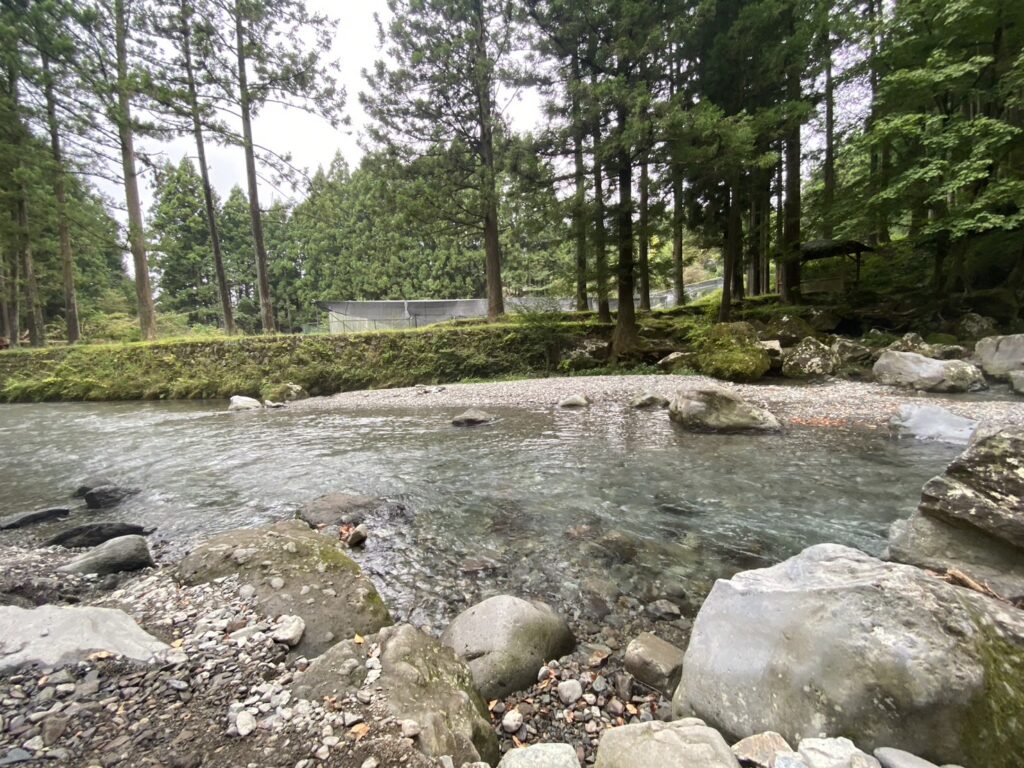 豊かな自然風景