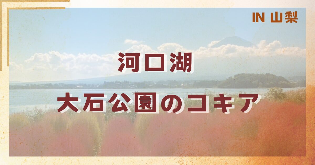 河口湖、大石公園のコキア風景