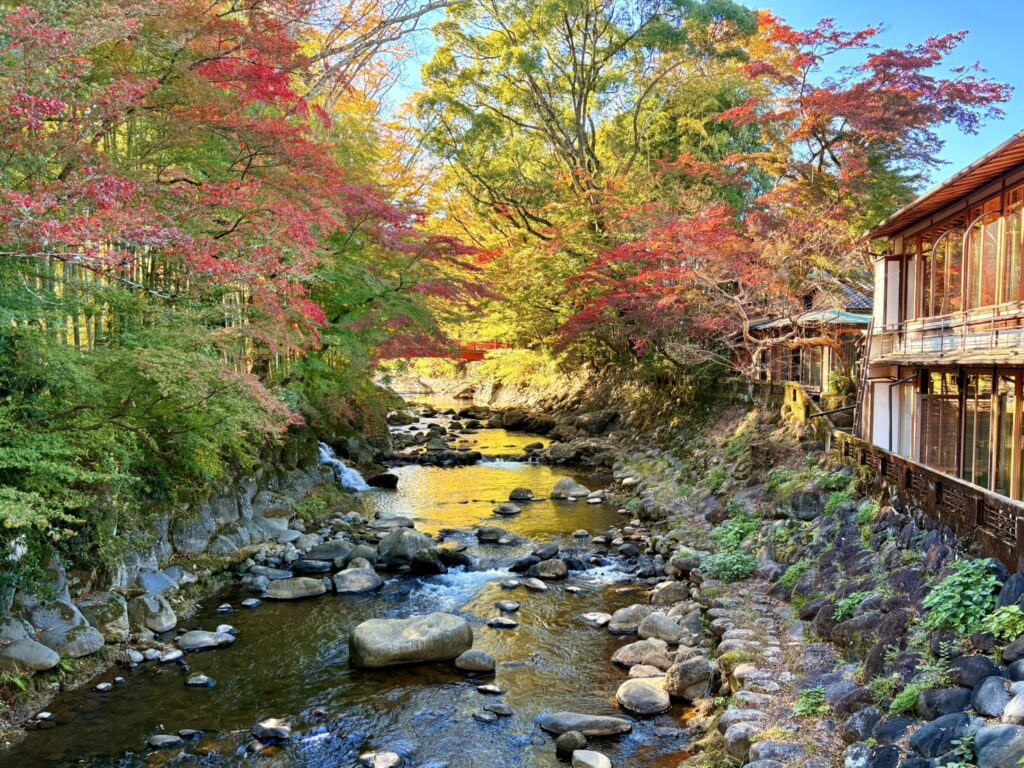 色づく紅葉と川のせせらぎ