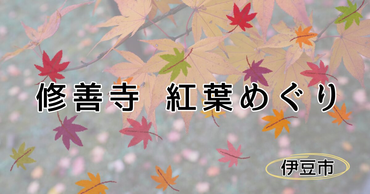 修善寺の紅葉めぐり