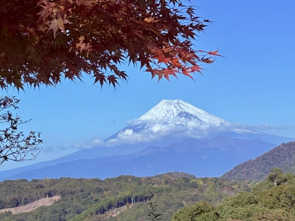 赤いもみじと青い富士山