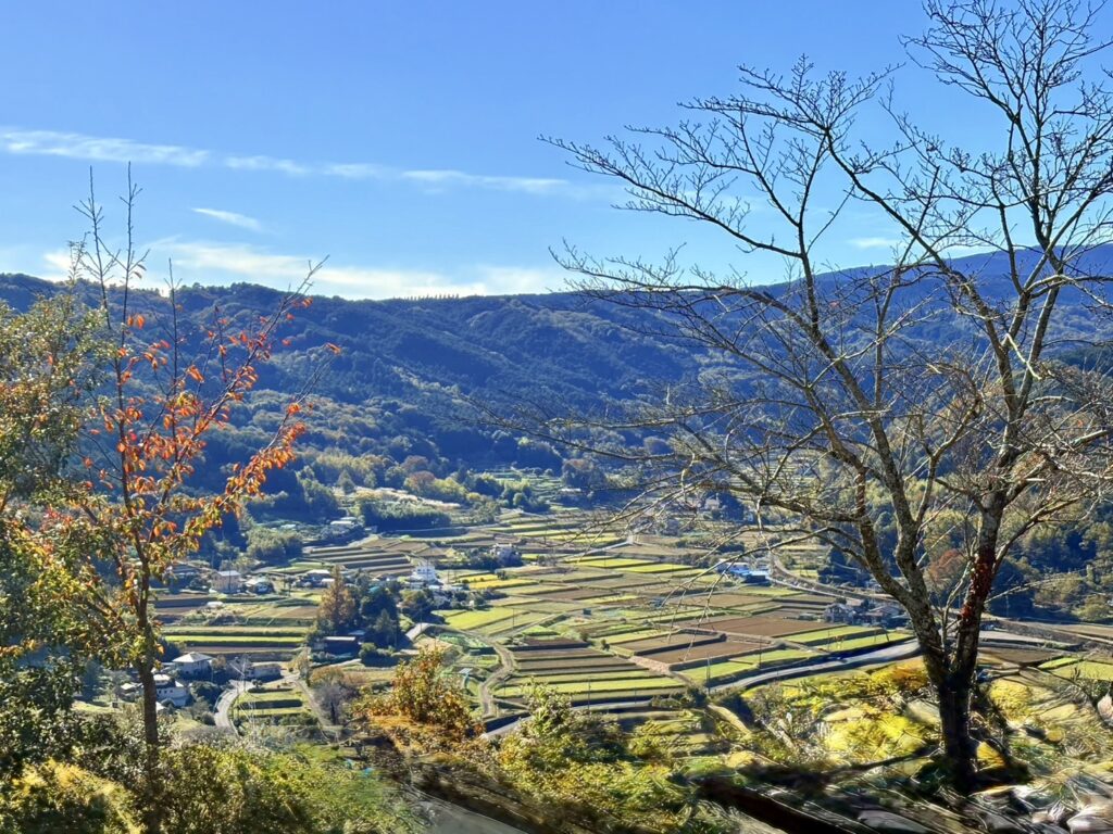 蕎麦屋さんのテラス席からみた里山の風景