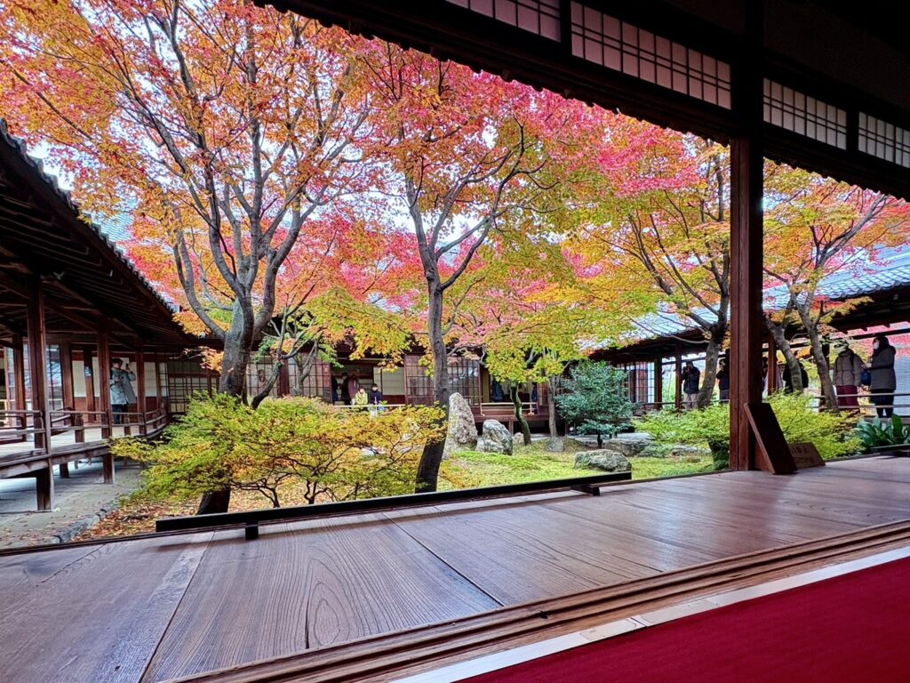 綺麗な紅葉庭園に観光客もうっとり。