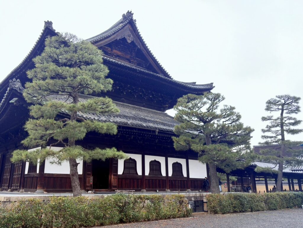 建仁寺法堂（はっとう）と立派な松の木