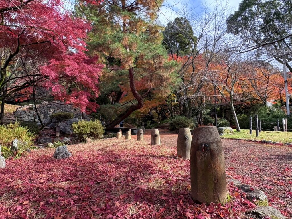 真っ赤な紅葉の落ち葉が地面を覆う景色