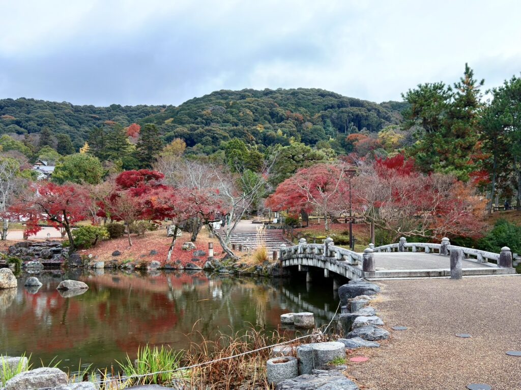 紅葉や池もある広々とした風景、回遊式庭園が美しい丸山公園