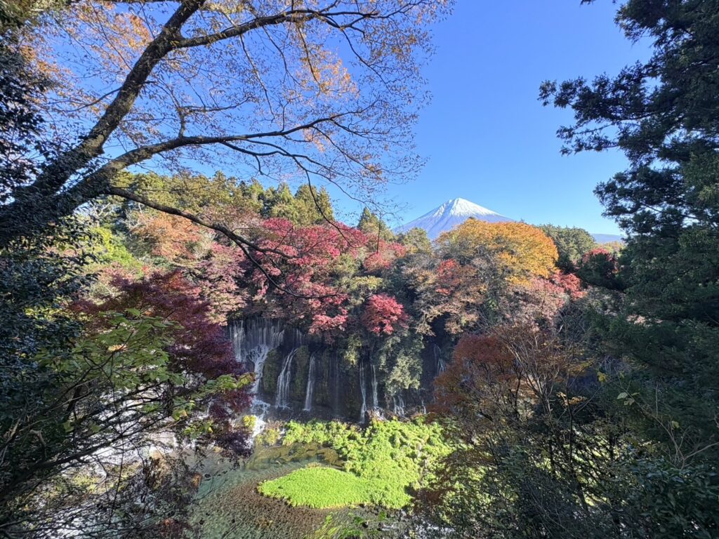 展望台からみた紅葉と富士山