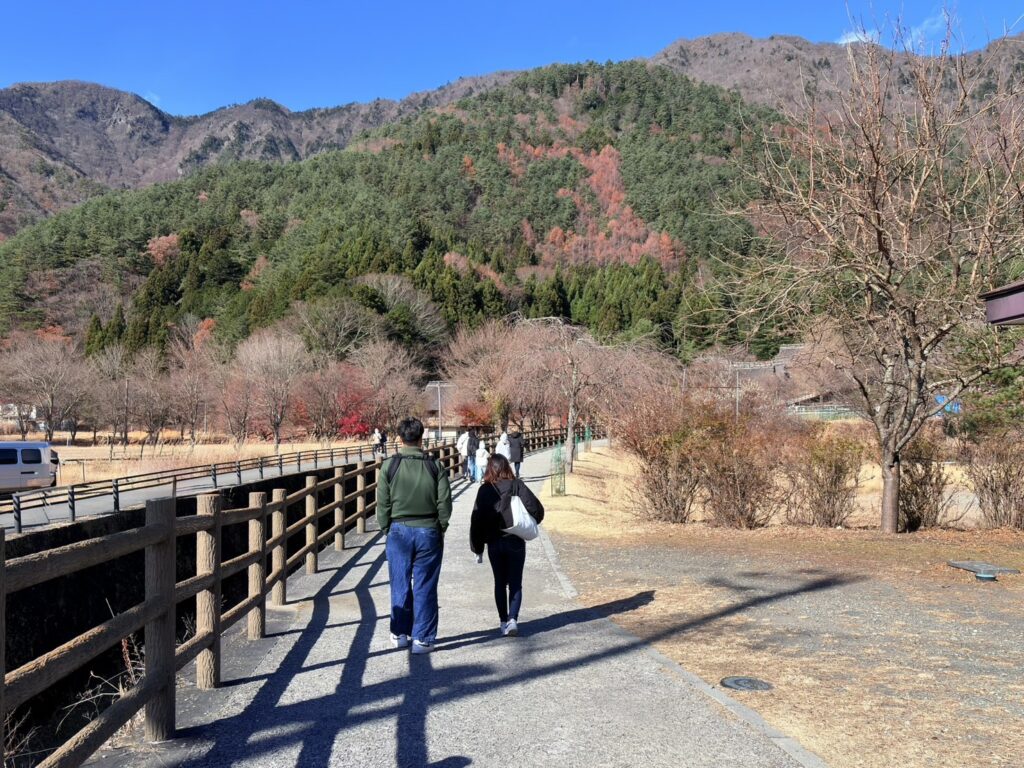 赤ちゃんと若い素敵な夫婦の歩く後ろ姿