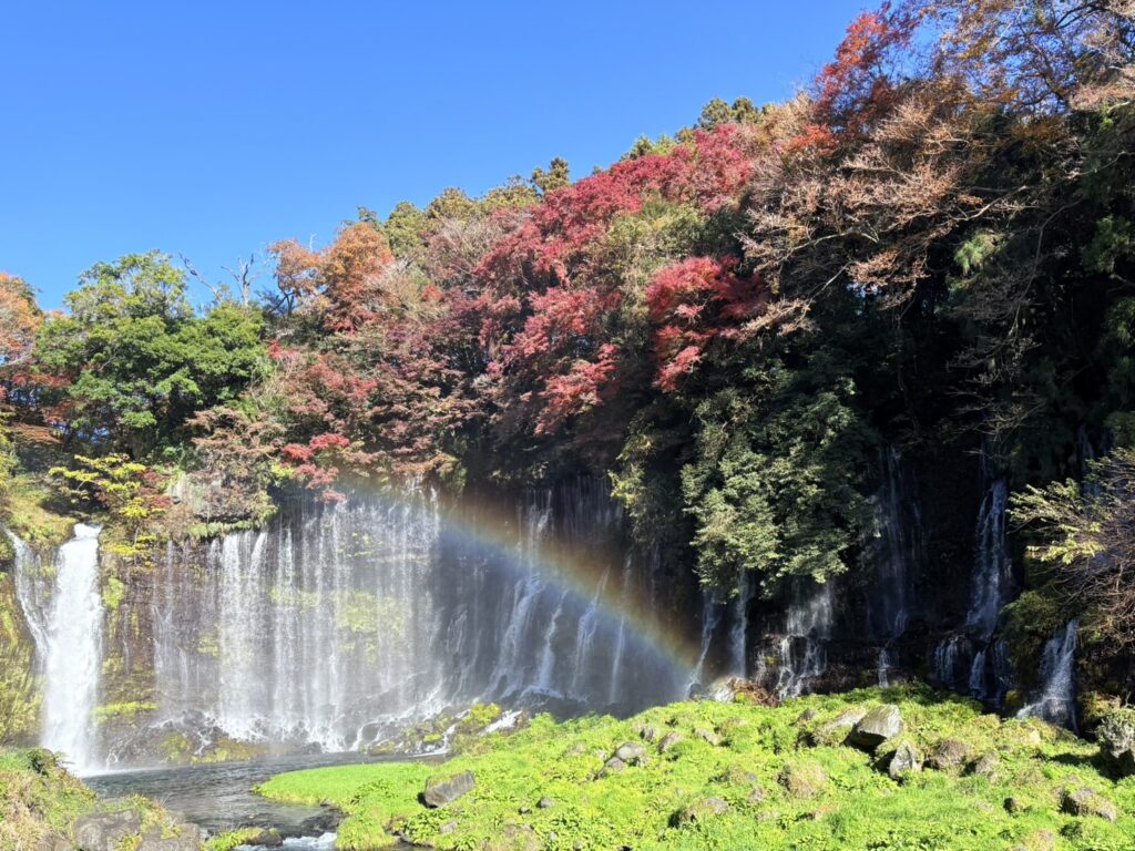 滝に日が差し込み虹色が架かる様子