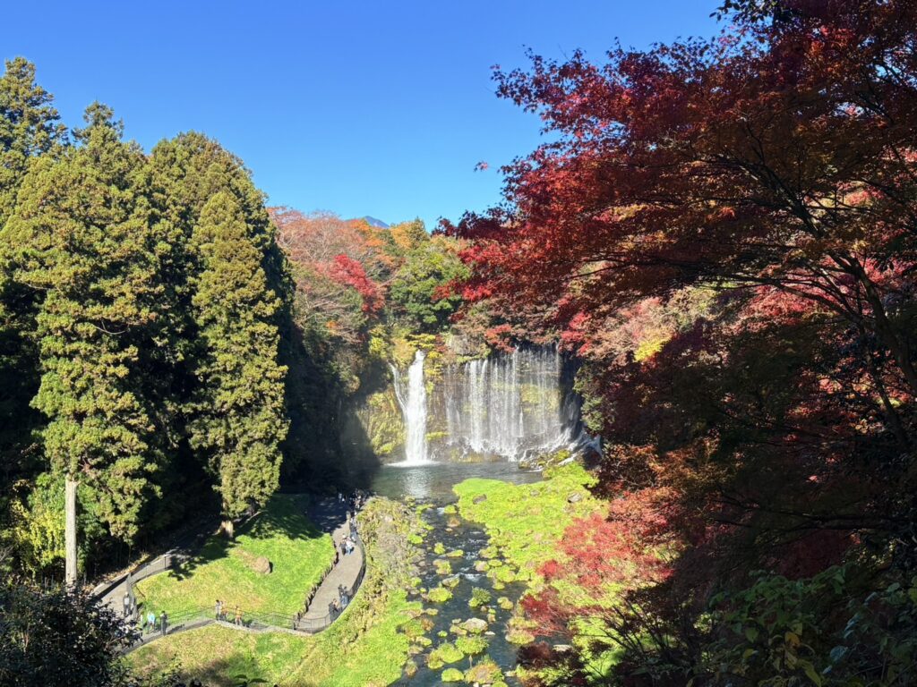 滝と紅葉と青空の絶景