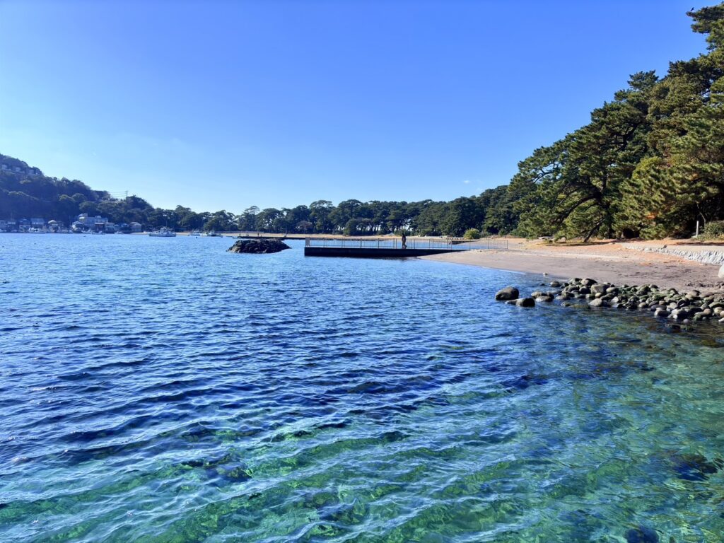 海水は綺麗で透明度は抜群です