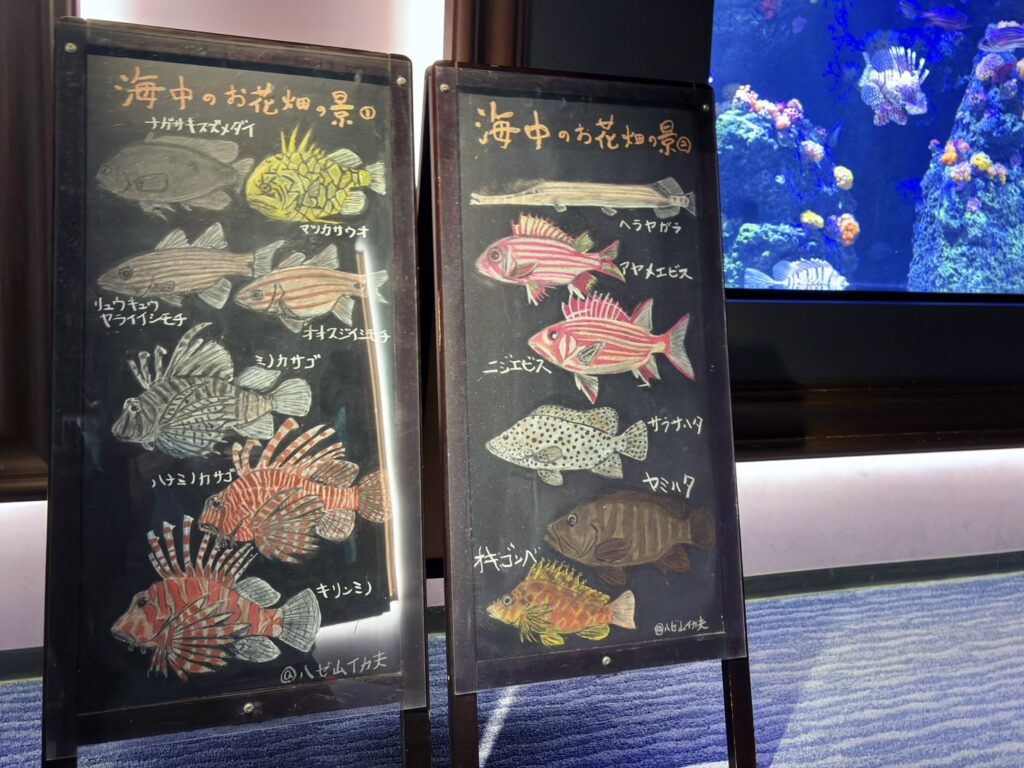 チョークアートの看板があり、魚の生態などが書かれています。